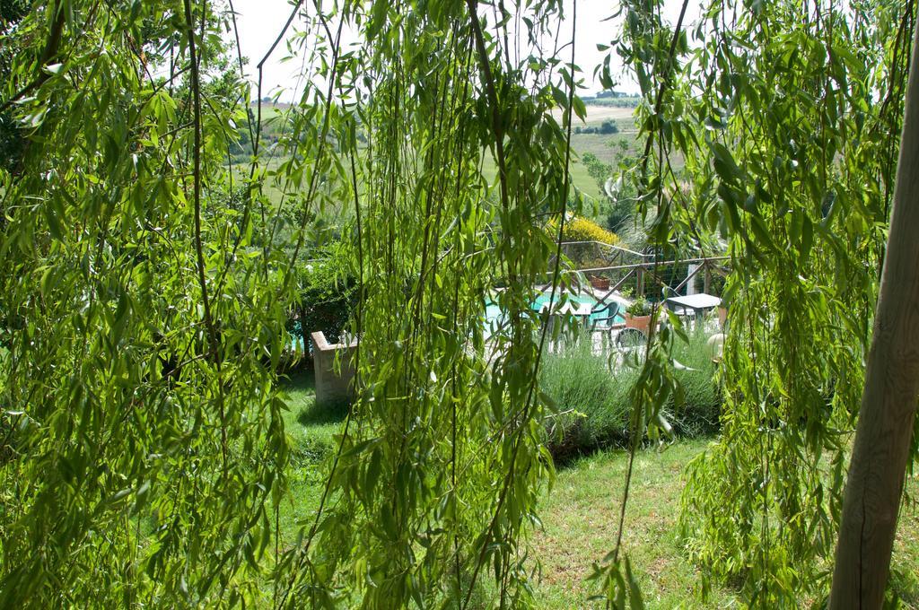 Agriturismo Quartopodere Magliano in Toscana Exterior photo